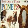 Touche à tout. Poneys. Collectif