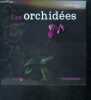 Les Orchidées - variations jardin. Pascal Descourvières