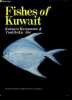 Fishes of kuwait. KATSUZO KURONUMA - ABE YOSHITAKA