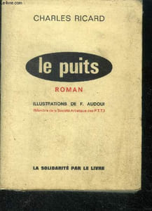 Le puits - roman