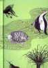 LES POISSONS EXOTIQUES, D'EAU DOUCE ET D'EAU DE MER. SAGAR KEITH, SWAIN JACK