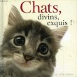 CHATS, DIVINS, EXQUIS !. ODILE DORMEUIL, MORITA YONEO