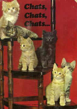 CHATS, CHATS, CHATS.... COLLECTIF