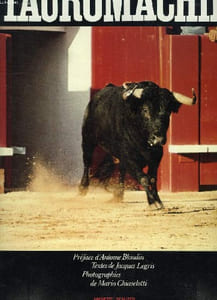 TAUROMACHIE, LE TAUREAU EST UN SONGE