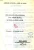 ETUDE COMPARATIVE DE TROIS CONCEPTIONS DE LA METRIQUE ANGLAISE: P. VERRIER, J. DOUADY, V. DUPONT (MEMOIRE). SOUQUET JENNY