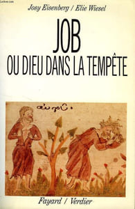 JOB OU DIEU DANS LA TEMPETE