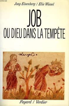 JOB OU DIEU DANS LA TEMPETE. EISENBERG JOSY, WIESEL ELIE