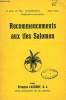 RECOMMENCEMENTS AUX ILES SALOMON. LAURENT FRANCOIS, S. J.
