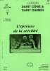 CAHIERS SAINT COME & SAINT DAMIEN, N° 17, 1er TRIM. 1996, L'EPREUVE DE LA STERILITE. COLLECTIF