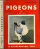 PIGEONS. VILAINE P.