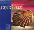 PETITE ET GRANDES HISTOIRES DE LA COQUILLE ST JACQUES. COLLECTIF