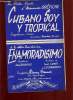 ENAMORADISIMO / CUBANO SOY Y TROPICAL.. ARMANDO OREFICHE / LUIS CONTI ET E. FERNANDEZ.