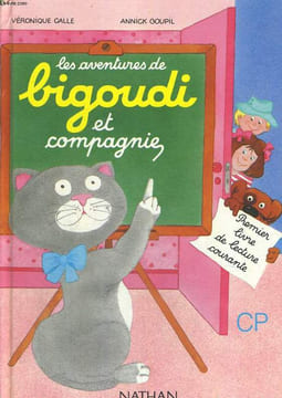 LES AVENTURES DE BIGOUDI ET COMPAGNIE. PREMIER LIVRE DE LECTURE COURANTE CP.. VERONIQUE CALLE, ANNICK GOUPIL