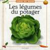 LES LEGUMES DU POTAGER - COMME DES IMAGES. COLLECTIF