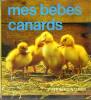 MES BEBES CANARD. COLLECTIF