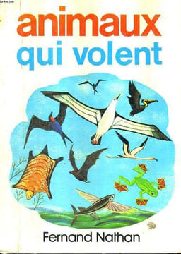 ANIMAUX QUI VOLENT. SU SWALLOW
