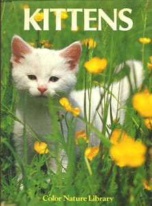 KITTENS