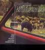 DEUTSCHE WILDSTRASSE. WILD, WALD, WASSER UND VIELE ATTRAKTIONEN.. COLLECTIF