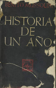 HISTORIA DE UN ANO