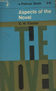 Aspects of the novel