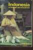 Indonesia- a travel survial kit. Bruce Ginny, Covernton Mary, Samagalski Alan