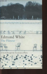 The flâneur- A stroll through the Paradoxes of Paris