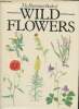 The illustrated book of Wild flowers. Podhajska Zdenka, Hisek Kvetoslav, Bristow Pamela
