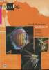 South American Cichlids IV- Discus & Scalare. Göbel Manfred, Mayland Hans J.