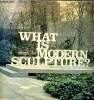 What is Modern Sculpture ? The Museum of Modern Art, New York. Goldwater Robert