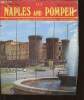 Naples and Pompeii. the city, the islands, the gulf, Vesuvius, excavations. Rea Domenico, Giordano Carlo