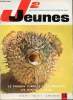 J2 Jeunes - n° 14 - 2 avril 1964 - L'homme invisible - la révolte des barbus par Hempay et Brochard - Plustrach par Pélaprat - Savoir peindre - Luc ...
