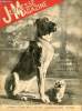 Jeunesse Magazine - n° 23 - 4 juin 1939 - Notre exposition canine par Henri Darblin. Collectif