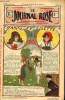 Le journal rose - n° 76 - 31 mai 1913 - Nanine et Lisette par René Lutz - Si j'étais Prince par Charles Holveck - Mirka par Delly - la fille aux ...