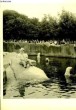 Lot de 2 photographies originales, en noir et blanc, de l'enclos des ours polaires blancs et d'une girafe en train de manger, prises dans un zoo.. ***