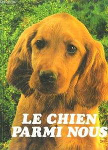 Le chien parmi nous.