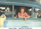"1 photo d'exploitation du film "" Mariage &agrave; l'italienne "" de Vittorion de Sica avec Sophia Loren et Marcello Mastroianni.". COMPAGNIE ...