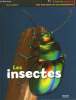 Les insectes.. ALBOUY Vincent