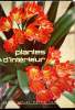 Plantes d'intérieur -. H. de Bronsart