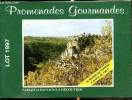 Brochure - Lot 1997 Promenades Gourmandes - Tables et paysages à découvrir. Collectif