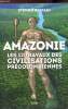 Amazonie - Les 12 travaux des civilisations précolombiennes. Rostain Stéphen