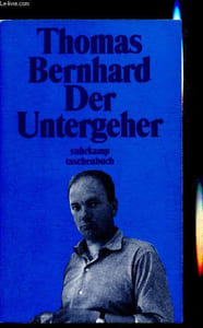 Der Untergeher -