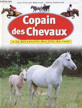 Copain des chevaux, À la découverte des fils du vent. Ballereau Jean-François