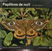 Papillons de nuit. Vanden Eeckhoudt J.P.