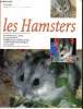 Les hamsters. Avanzi M.