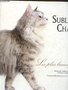 Sublimes chats- Les plus beaux portraits
