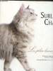 Sublimes chats- Les plus beaux portraits. Levesque Catherine