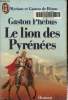Lelion des Pyrénées. De Béarn Myriam et Gaston