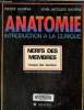 Anatomie, introduction a la clinique. Nerfs des Membres. Kamina Pierre, Santini Jean-Jacques