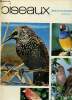 Beauté du monde animal oiseaux Tome V. Collectif