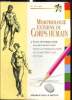 Morphologie externe du corps humain : guide anatomique pour dessiner parfaitement toutes les parties du corps, les silhouettes et les attitudes. ...